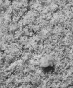 Figure 16c: Microscopic picture of Material bled from Geotex 315ST with almost no flyash beads Figure 16c: Microscopic picture of Material bled from Geotex 315ST with almost no flyash beads